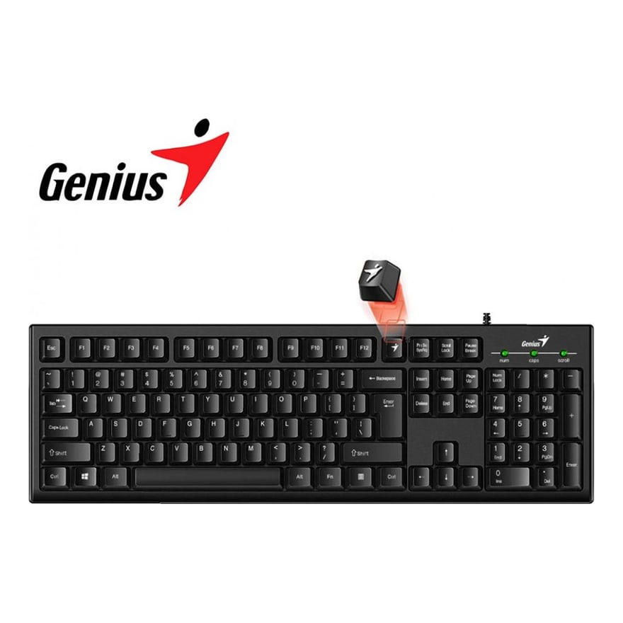 TECLADO GENIUS SMART KB-100 USB SP NEGRO
