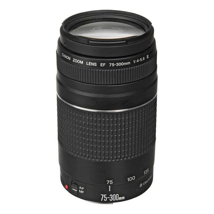 Canon Lente Fotográfico EF75-300MM F